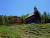 Kamelisenalm