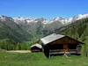 Kamelisenalm Blick Richtung NW