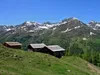 Kamelisenalm Blick Richtung Westen