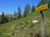 von Kamelisenalm bis Oberstaller