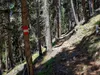 von Kamelisenalm bis Oberstaller über Steig