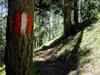 von Kamelisenalm bis Oberstaller über Steig