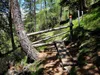 von Kamelisenalm bis Oberstaller über Steig