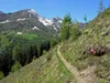 von Kamelisenalm bis Oberstaller über Steig