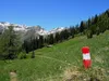 von Kamelisenalm bis Oberstaller über Steig