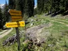 von Kamelisenalm bis Oberstaller bei markanter Kreuzung