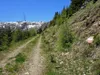 von Kamelisenalm bis Oberstaller über Forstweg