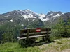 von Kamelisenalm bis Oberstaller über Forstweg re Riepenspitze li Rotlahner