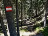 von Kamelisenalm bis Oberstaller über Steig