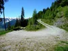 Aufstieg zur Fronstadlalm
