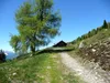 Fronstadlalm