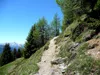 Steig von Fronstadlalm zum Glinzzipf