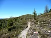 Steig von Fronstadlalm zum Glinzzipf