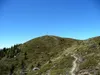 beim Glinzzipf