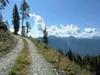 vom Kristeinertal bis Schihütte hinten Gailtaler Alpen