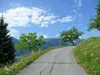 in Goldberg