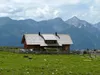 Jaukenalm