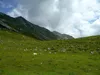 bei Jaukenalm re Spitzkofel