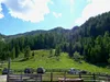 bei Leckfeldalm Blick Richtung Heimkehrerkreuz