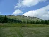 Blick vom Marterle Richtung Zellinkopf