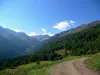 bei Wirtsalm