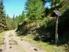 Abfahrt von Klosterfraünalm Richtung Schlaiten