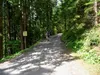 von Pölland Richtung Ochsnerhütte Beginn Schotterweg