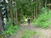 Singletrail von Edner Richtung Leppen