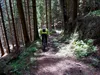 Singletrail von Edner Richtung Leppen