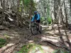 Singletrail von Edner Richtung Leppen