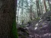 Singletrail von Edner Richtung Leppen