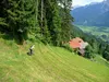 Singletrail von Edner Richtung Leppen