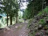 Abfahrt von Girstmairmoos Richtung Kollnighof