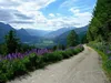 vor Rabantalm Blick Richtung Lienzer Talboden