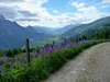vor Rabantalm Blick Richtung Lienzer Talboden