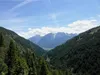 über Forstweg Richtung Geiersbichl hinten Lienzer Dolomiten