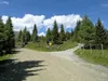 von Geiersbichl Richtung Roaneralm Kreuzung