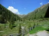 Silvesteralm Blick Richtung Blankental