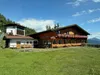 Sternalm
