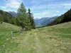 Abfahrt vom Zwischenberger Lacke Richtung Winklern