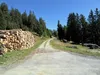 von Stalpen bis zum Gasthof Gadein Beginn Schotterweg