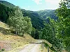 von Tratenberg Richtung Nikolsdorf
