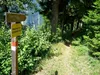 von Damer Richtung Plone Beginn Singletrail