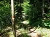von Damer Richtung Plone Singletrail