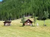 Girstmairmoos