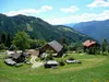 Kollnig