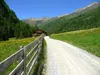 bei Niederbruggeralm