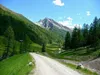 nach Niederbruggeralm Blick zurück auf Auffahrt