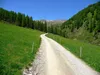 nach Lackenkammeralm Blick zurück