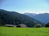 durch das Wilfernertal bei Warscher
